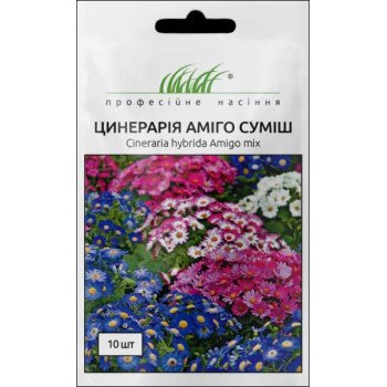 Цинерария Амиго смесь /10 семян/ *Профессиональные семена*