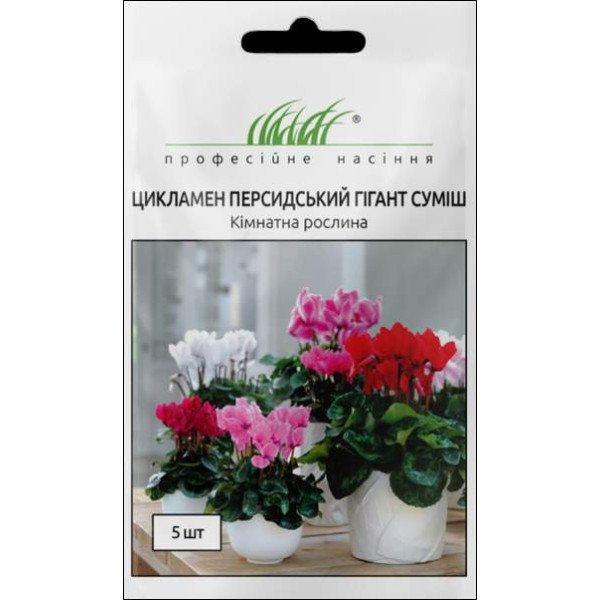 Семена цикламена персидского смесь /5 семян/ *Профессиональные семена*
