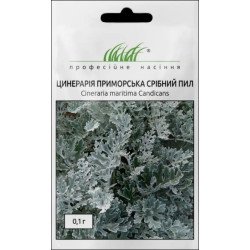 Цинерарія Срібний пил /0,1 г/ *Професійне насіння*