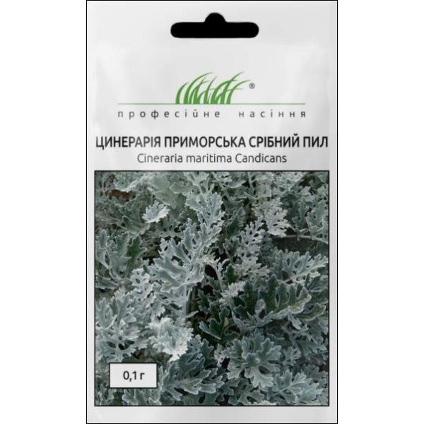 Семена цинерарии Серебряная пыль /0,1 г/ *Профессиональные семена*