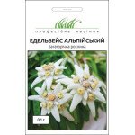 Едельвейс альпійський /0,1 г/ *Професійне насіння*