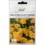 Чорнобривці Малюк лимонні /0,1 г/ *Професійне насіння*