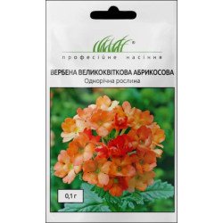 Вербена Абрикосовая /0,1 г/ *Профессиональные семена*