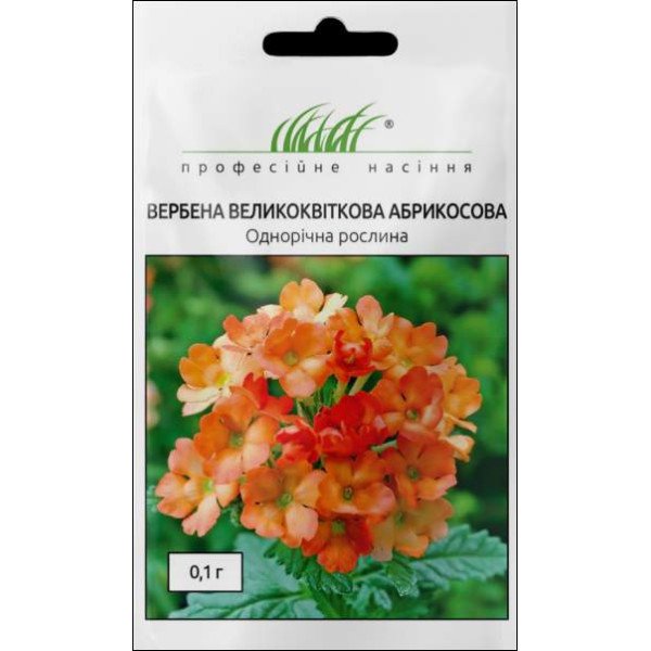 Насіння вербени Абрикосової /0,1 г/ *Професійне насіння*