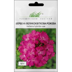 Вербена Розовая /0,1 г/ *Профессиональные семена*