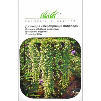 Дихондра Срібний водоспад /5 насінин/ *Професійне насіння*