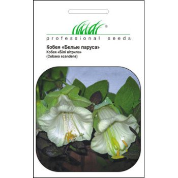 Кобея Белые паруса /0,3 г/ *Профессиональные семена*