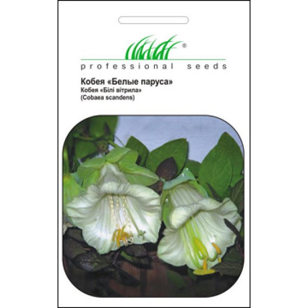 Семена кобеи Белые паруса /0,3 г/ *Профессиональные семена*