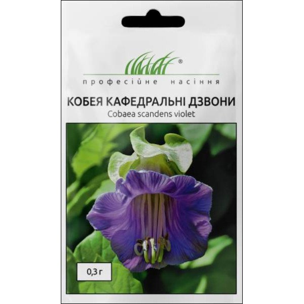 Семена кобеи Кафедральные звоны /0,3 г/ *Профессиональные семена*