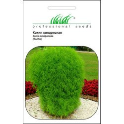 Кохія кипарисова /1 г/ *Професійне насіння*