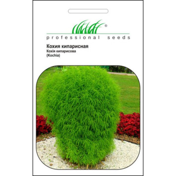 Семена кохии кипарисовой /1 г/ *Профессиональные семена*