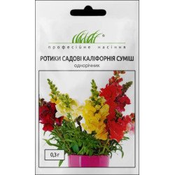 Ротики Каліфорнія суміш /0,3 г/ *Професійне насіння*