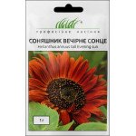 Подсолнечник Вечернее солнце /1 г/ *Профессиональные семена*