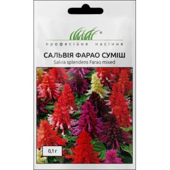 Сальвія Фарао суміш /0,1 г/ *Професійне насіння*