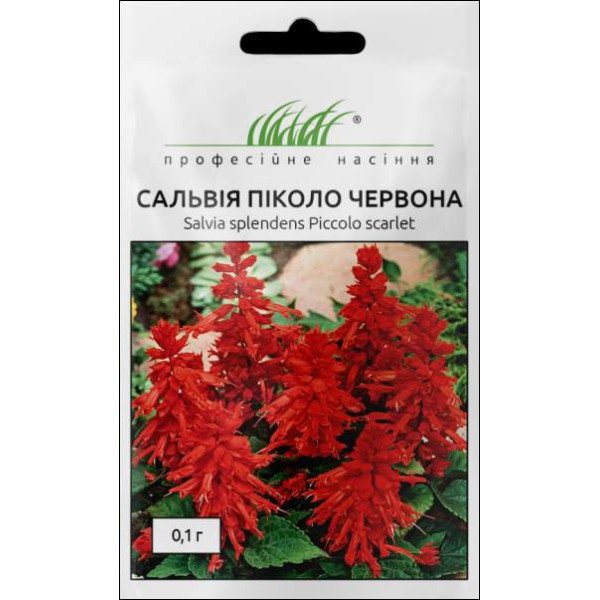 Семена сальвии низкорослой Пиколо /0,1 г/ *Профессиональные семена*