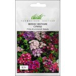 Флокс Вогник суміш /0,3 г/ *Професійне насіння*