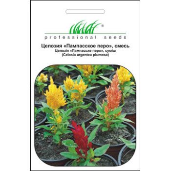 Целозия перистая Пампаское перо смесь /0,1 г/ *Профессиональные семена*