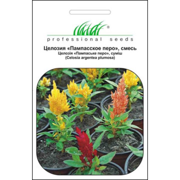 Насіння целозії перистої Пампаське перо суміш /0,1 г/ *Професійне насіння*