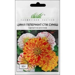Цинния Пеперминт стик смесь /0,5 г/ *Профессиональные семена*
