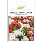 Годеція Азалія суміш /0,3 г/ *Професійне насіння*
