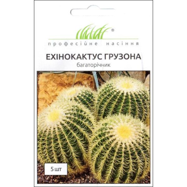 Семена Эхинокактус грузона /5 семян/ *Профессиональные семена*
