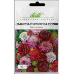 Скабіоза пурпурова суміш /0,2 г/ *Професійне насіння*
