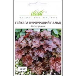 Гейхера Пурпуровий Палац /20 насінин/ *Професійне насіння*