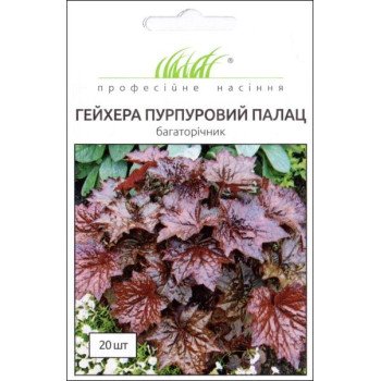 Гейхера Пурпурный Дворец /20 семян/ *Профессиональные семена*