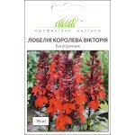 Лобелія Королева Вікторія /10 насінин/ *Професійне насіння*
