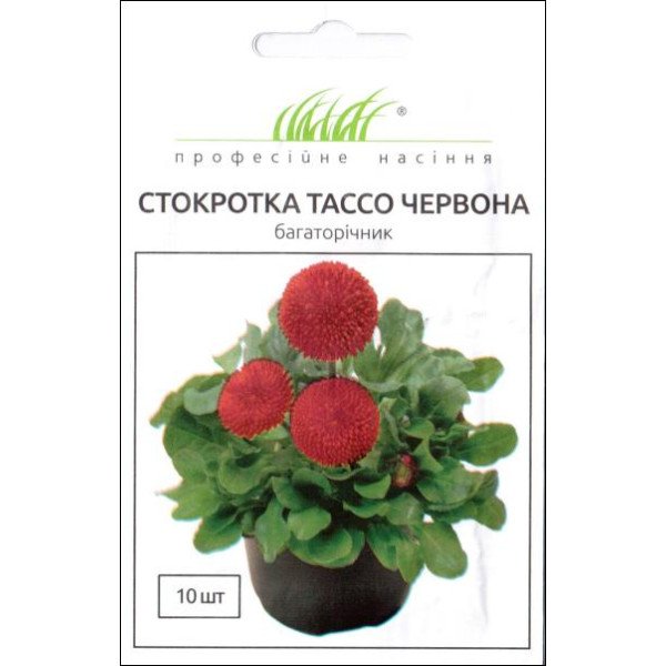 Семена маргаритки Тассо красная /10 семян/ *Профессиональные семена*