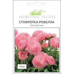 Стокротка Робелла /10 насінин/ *Професійне насіння*