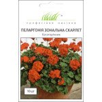 Пеларгонія Скарлет /10 насінин/ *Професійне насіння*