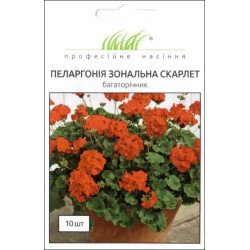 Пеларгонія Скарлет /10 насінин/ *Професійне насіння*