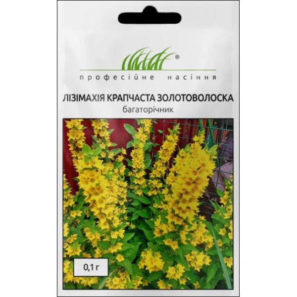 Семена Лизимахия Крапчатая Златовласка /0,1 г/ *Профессиональные семена*
