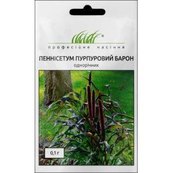 Пеннісетум Пурпуровий Барон /0,1 г/ *Професійне насіння*