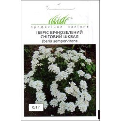 Іберіс Сніговий Шквал /0,1 г/ *Професійне насіння*