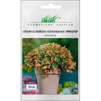 Бегония боливийская Копакабана F1 триколор /10 семян/ *Профессиональные семена*