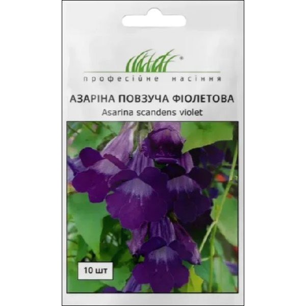 Семена азарины ползучей фиолетовая /10 семян/ *Профессиональные семена*