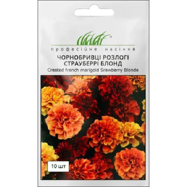 Насіння чорнобривців Страубері Блонд біло-рожеві /10 насінин/ *Професійне насіння*