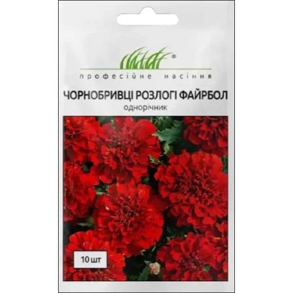 Насіння чорнобривців Файрбол /10 насінин/ *Професійне насіння*