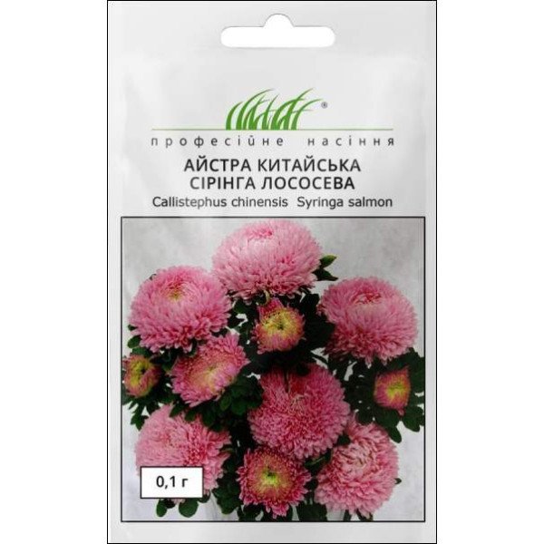 Насіння Айстра Сірінга лососева /0,1 г/ *Професійне насіння*