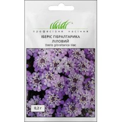 Іберіс Гібралтарика ліловий /0,2 г/ *Професійне насіння*