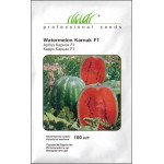 Арбуз Карнак F1 /100 семян/ *Профессиональные семена*