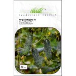 Огурец Мадита F1 /10 семян/ *Профессиональные семена*