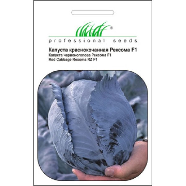 Насіння капусти червоноголової Рексома F1 /20 насінин/ *Професійне насіння*