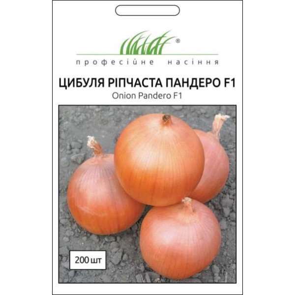Насіння цибулі Пандеро F1 /200 насінин/ *Професійне насіння*
