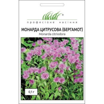 Монарда (Бергамот) /0,1 г/ *Профессиональные семена*