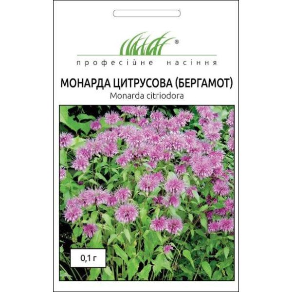 Семена монарды (Бергамот) /0,1 г/ *Профессиональные семена*