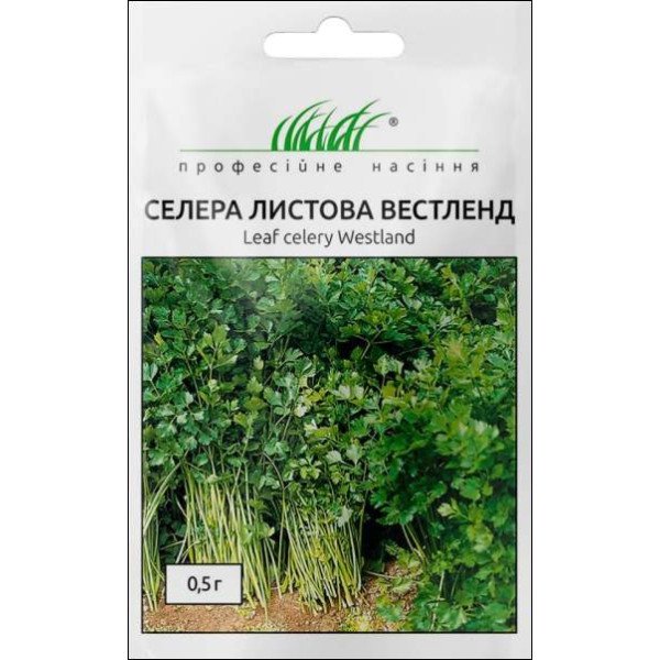 Семена сельдерея листового Вестленд /0,5 г/ *Профессиональные семена*