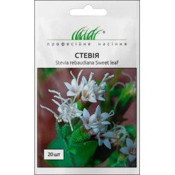 Стевия /20 семян/ *Профессиональные семена*